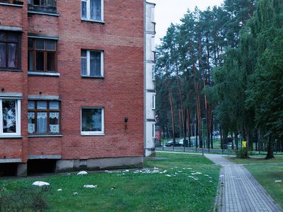 Если видите нарушения порядка и чистоты, сообщайте в «Tvarkau Visaginą» - В Висагинасе