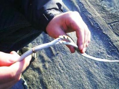 И снова режут кабель...                                                                                           - Происшествия и криминал