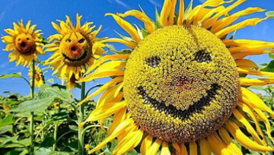 С прошедшим всех Днем смеха! - Новости TTS