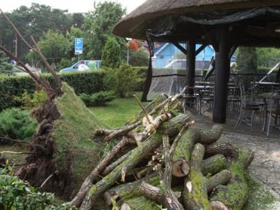 Синоптики: в понедельник вечером в Восточной Литве ожидается шквальный ветер

 - Литва и страны Балтии