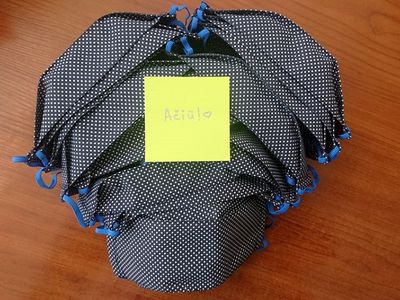 Добровольцам от имени всех висагинцев – огромное спасибо! - В Висагинасе