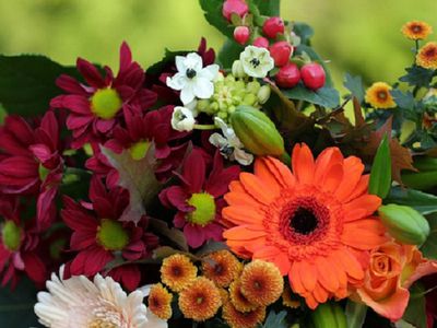 Президент на встрече с учителями в преддверии нового учебного года: все будет хорошо - Литва и страны Балтии