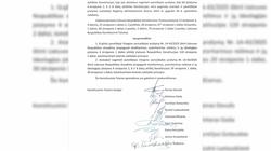 От анонимного письма до Конституционного суда: финал истории улицы Тарибу