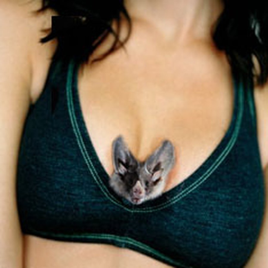 Девушка полдня носила мышь в бюстгальтере - Хобби, отдых и развлечения