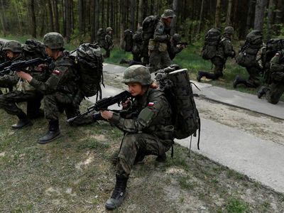 Польша потратит $7 млрд на создание новой дивизии на востоке страны - В Мире