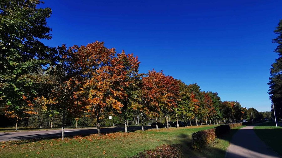 На этой неделе установится теплая, но дождливая погода - Литва и страны Балтии