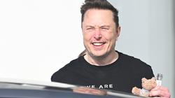 Роботов будет больше, чем людей: Маск о будущем ИИ в Давосе