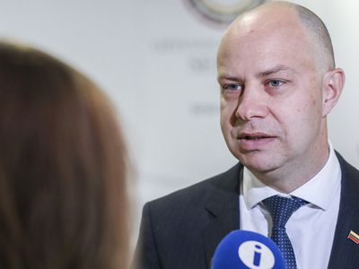 Глава Минздрава Литвы: часть жителей не успеет вернуться, им придется остаться за границей - Литва и страны Балтии