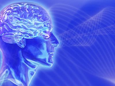 Голландцы разработали программу для чтения мыслей - Хобби, отдых и развлечения