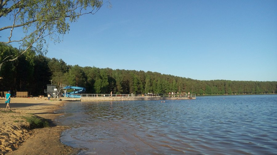Saugus elgesys prie vandens ir vandenyje - Visagine