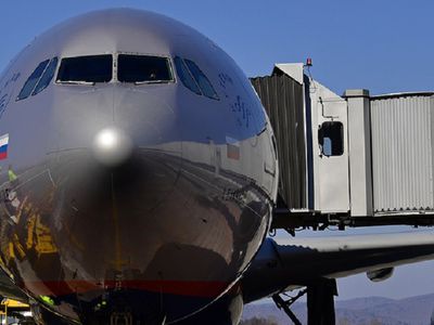 "Аэрофлот" снял с рейса жену Аршавина из-за "деструктивного поведения" - В Мире