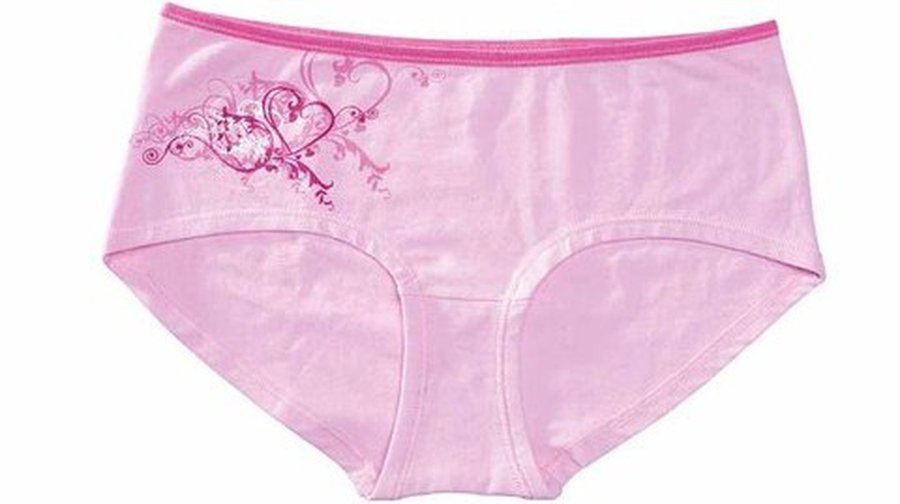 Американца посадили на 9 лет за кражу трусов и вуайеризм - Хобби, отдых и развлечения