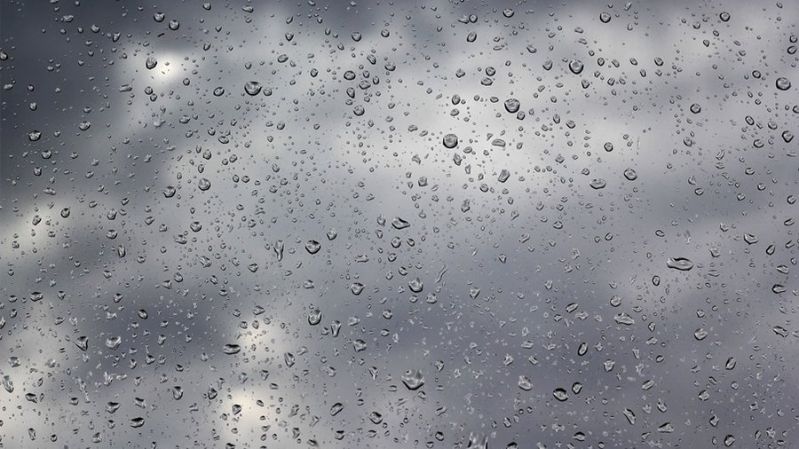 Прогноз: начало весны в Литве будет дождливым - Литва и страны Балтии