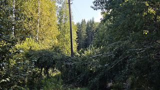 Часть улиц в садовых обществах до сих пор остается без электричества