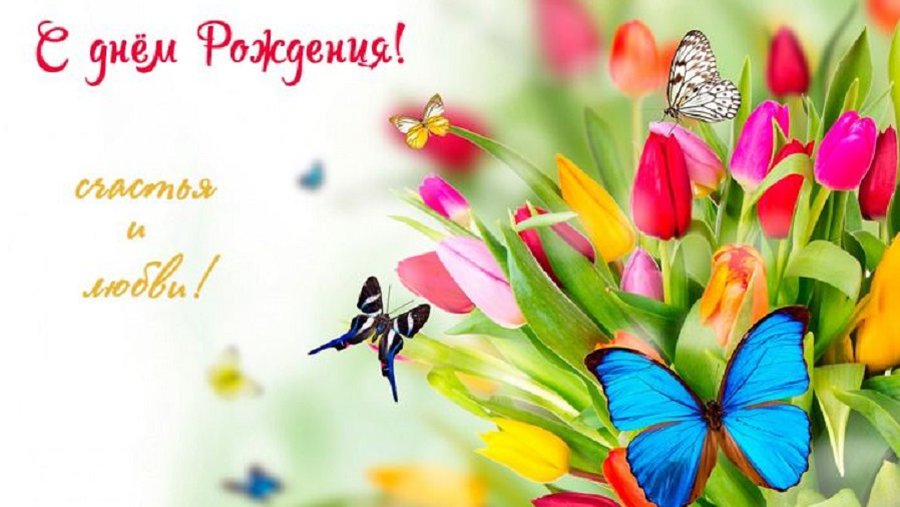 Лину Латышеву – с днем рождения! - Поздравления