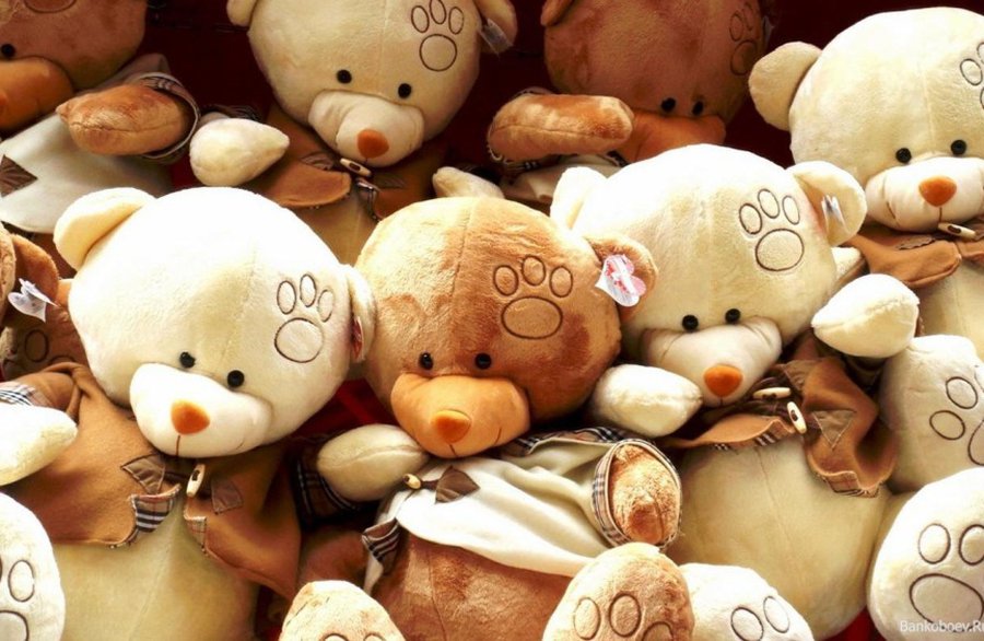 Белоруссию бомбят плюшевыми мишками - В Мире