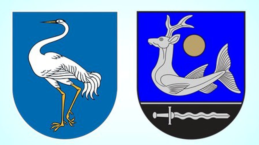 Выборы в Сейм-2012: Висагинас и Зарасай - В Висагинасе