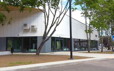 Услуга по перевозке посылок стало еще удобнее - В Висагинасе