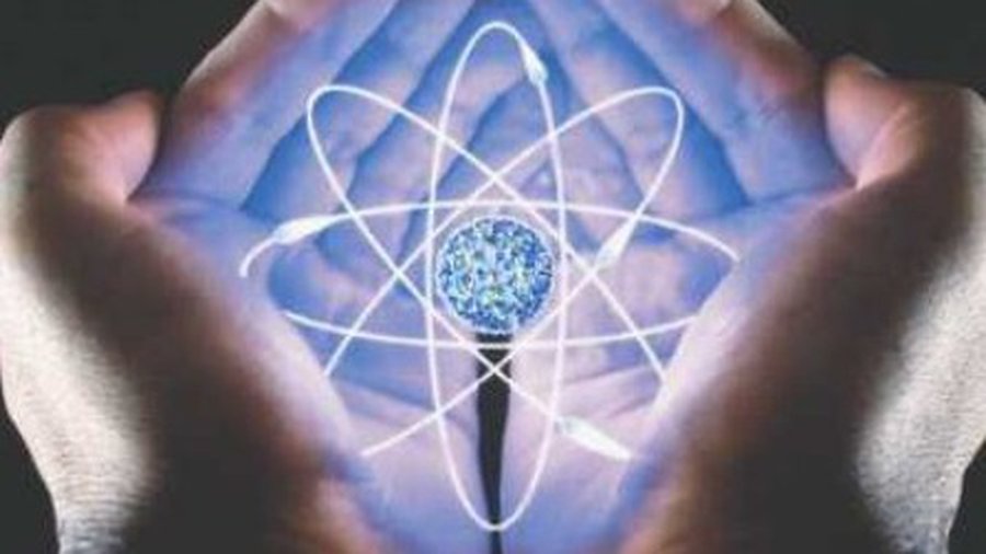 Социально-экономическая ситуация заставит Германию повернуться лицом к атомной энергетике: эксперт - Энергетика