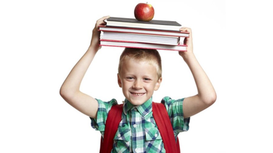 В ТОП-100 школ Литвы попали шесть русских школ - Мир молодежи