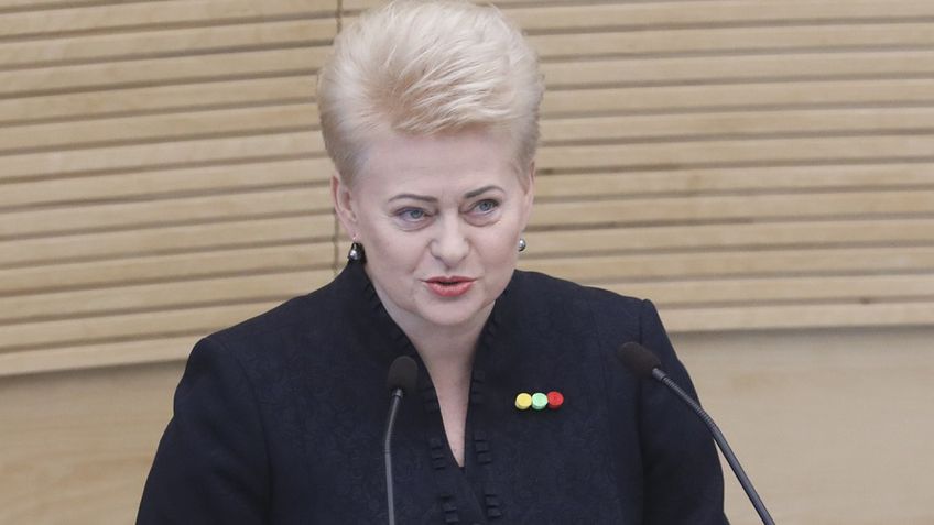D. Grybauskaitė nebalsavo referendume dėl Seimo narių mažinimo: referendumas beprasmis