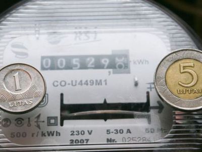 Электрошок – новое оружие России в экономической войне с Литвой - Литва и страны Балтии