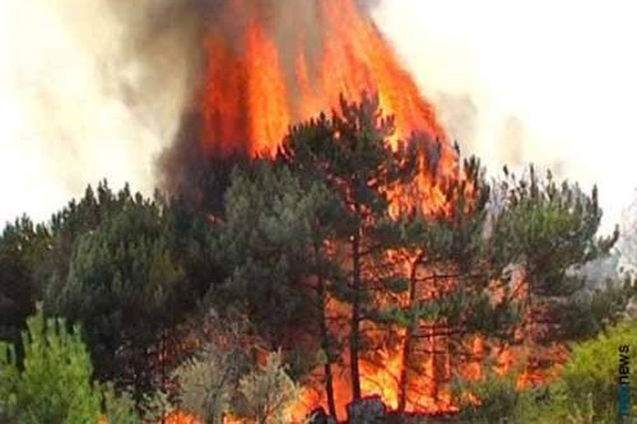 Литва поможет России, хотя и с опозданием - Литва и страны Балтии