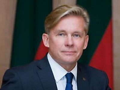 Эксперт: Литовский МИД признал свою страну пособником Гитлера - Литва и страны Балтии