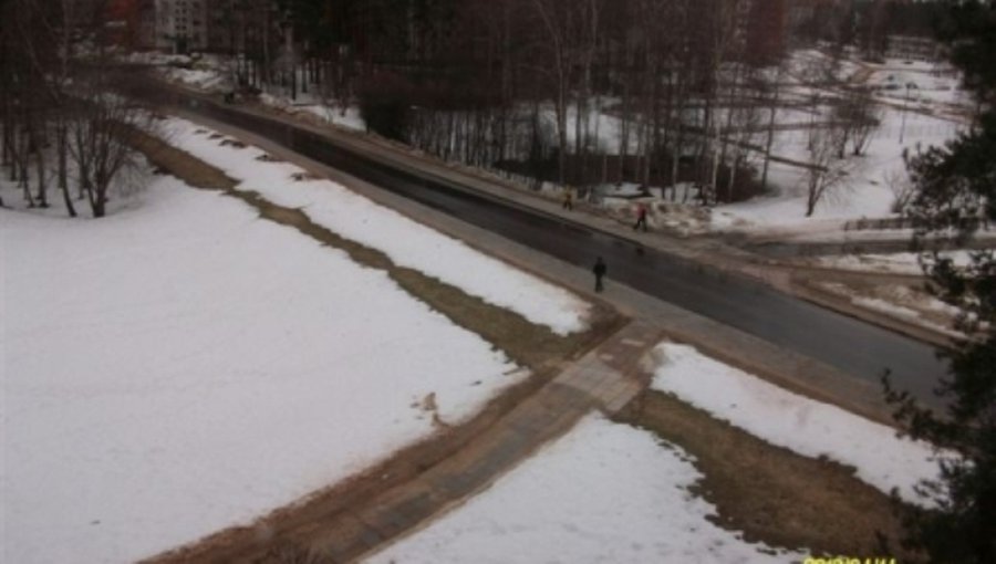 Отчего зимой трава зеленая?  - В Висагинасе