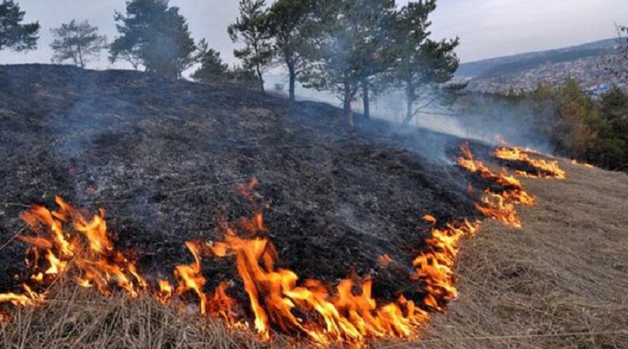 Акция «Не жги траву!» - В Висагинасе