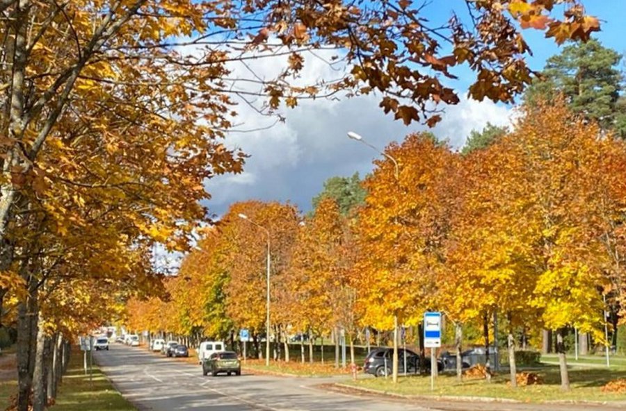 Установилась стабильная погода: приятная осень задержится надолго - Литва и страны Балтии