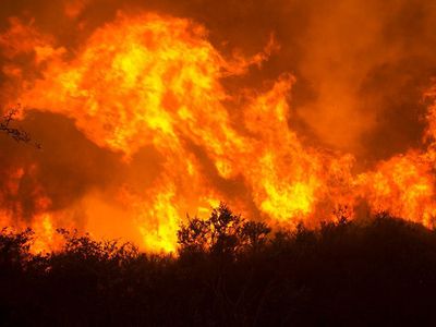 Площадь пожара "Томас" в Калифорнии превысила 1 тыс. кв. км - В Мире