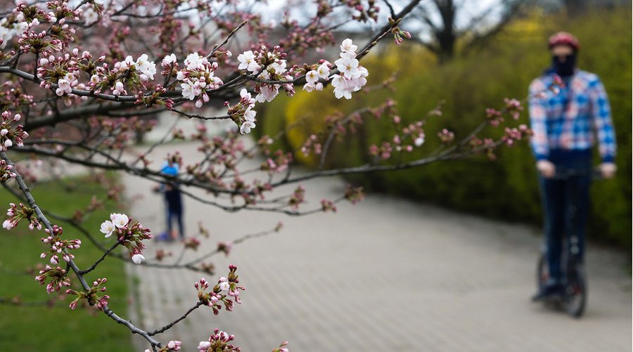Правительство Литвы продлило карантин до 11 мая - Литва и страны Балтии