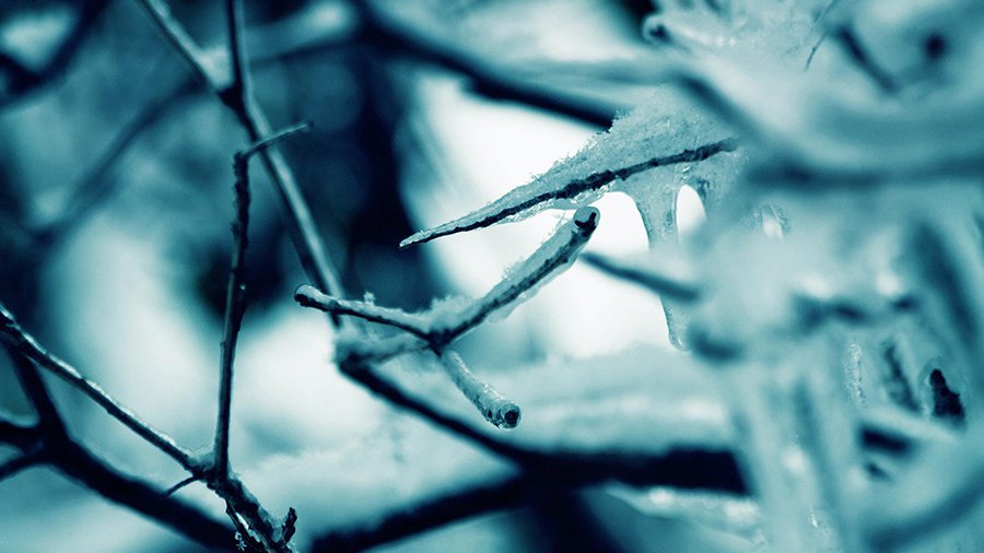 В Татарстане из-за аномально низкой температуры погибли 13 человек - В Мире