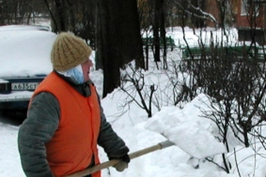 Вильнюсские дворники намерены провести акцию протеста - Литва и страны Балтии