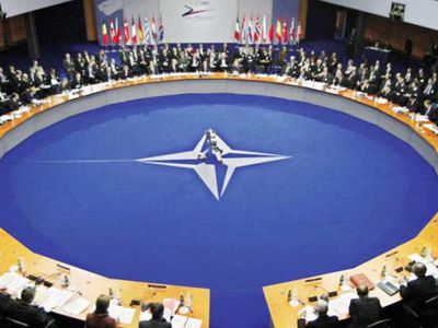 НАТО не станет ссориться с Москвой ради Киева - В Мире