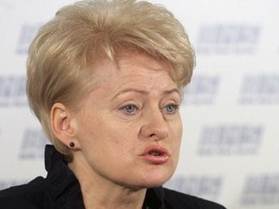 Президент Литвы о высылке главного редактора ИА REGNUM: Мы выполняем свои решения - Литва и страны Балтии