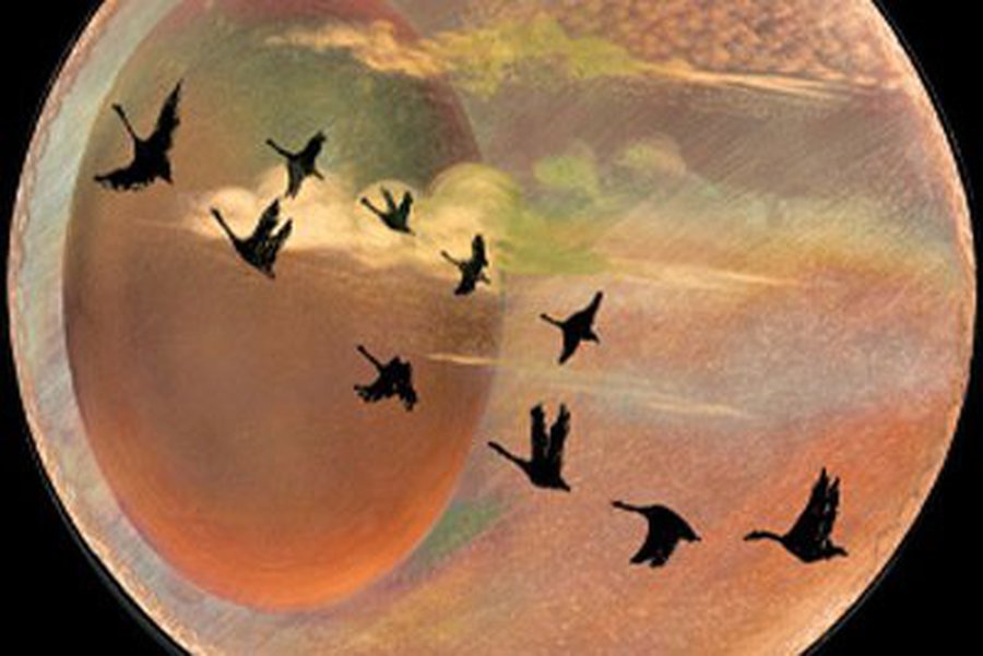 Меньше всего литовцев эмигрирует в Россию, Швецию и США

                                                                 - Литва и страны Балтии