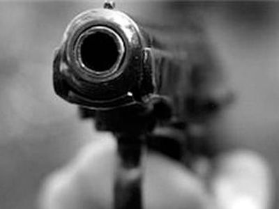 Тир на дому                                                                                                                           - Происшествия и криминал