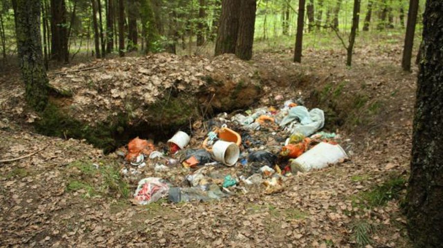 Приглашаем принять участие в акции «Darom 2014» - В Висагинасе