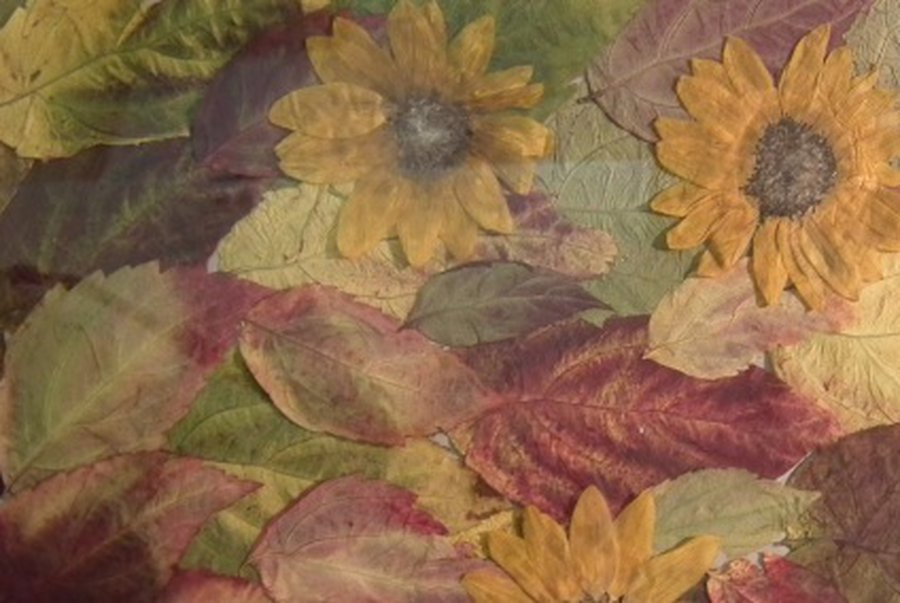 Выставка фитодизайна                                                                                                                                   - В Висагинасе