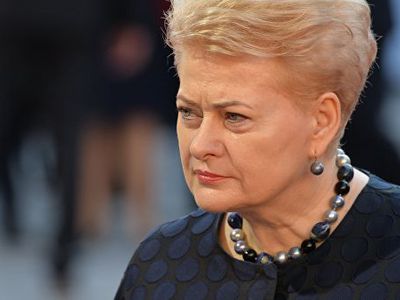 Президента Далю Грибаускайте "неприятно удивил" аудит, вскрывший нарушения в системе образования. - Литва и страны Балтии