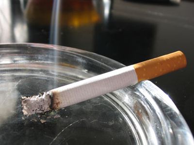 Капля \"табачного масла\" убивает кошку                 - Наука и здоровье