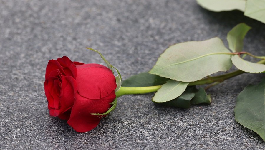 Спасибо за помощь и поддержку - Благодарность