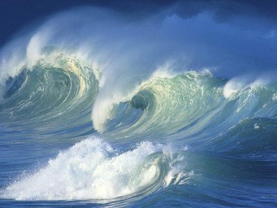 Чилийское землетрясение обрушило на Японию цунами - В Мире