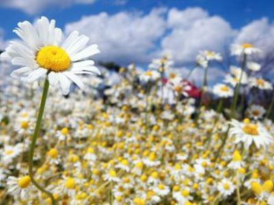 Каким будет это лето - Хобби, отдых и развлечения