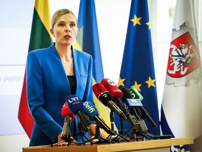 Литва и соседние страны планируют региональные учения на случай закрытия внешних границ НАТО и ЕС - Литва и страны Балтии