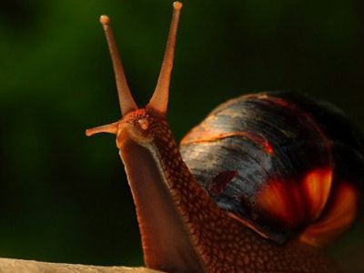 Приглашаем посетить выставку! - В Висагинасе