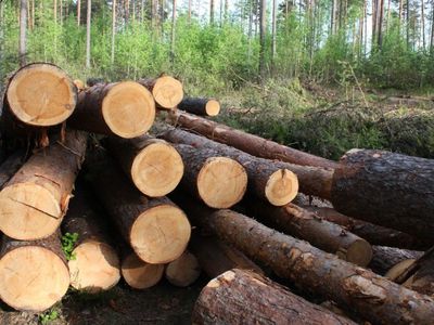 Сейм утвердил новый порядок конкуренции между производителями тепла - Энергетика