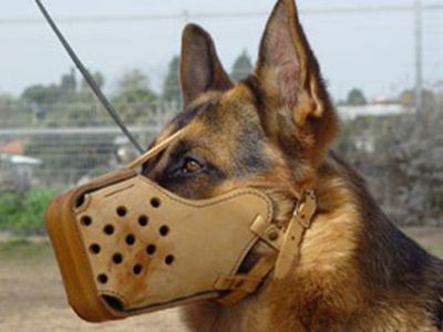 Сводка криминальных происшествий 2008-09-24 - Происшествия и криминал